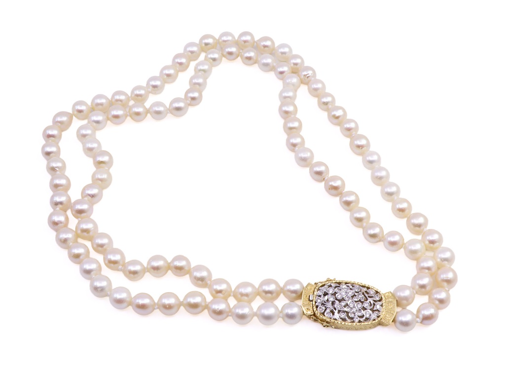 PERLE mt-1232.jpg