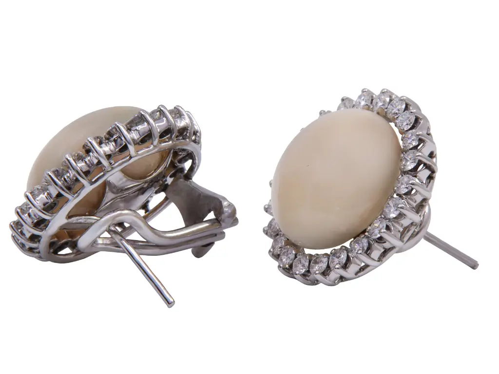 orecch MT32536800-203.webp