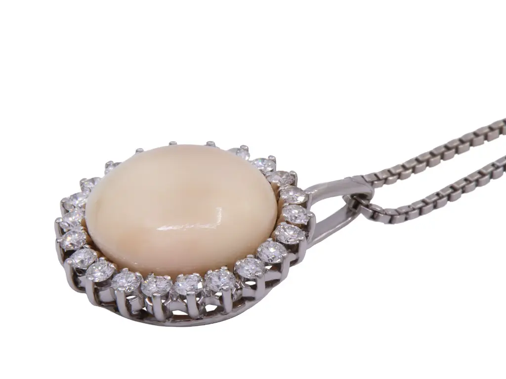 colla corall MT32536814-208.webp