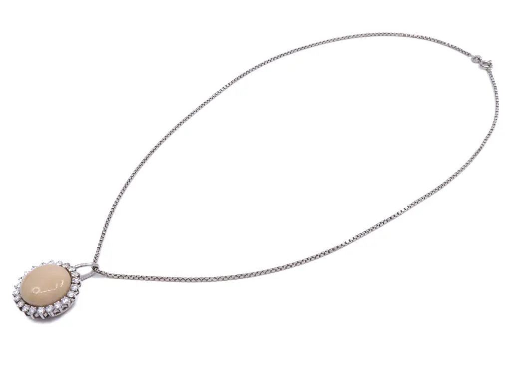 colla corall MT32536814-210.webp