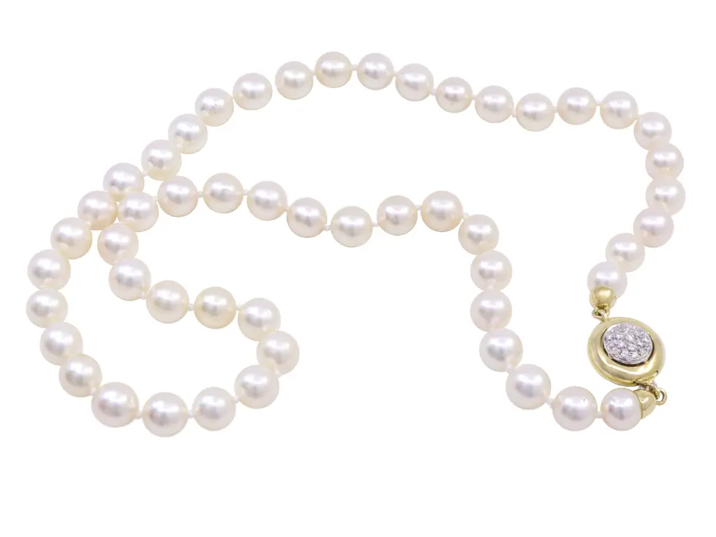 Perle MT32605013-377.webp