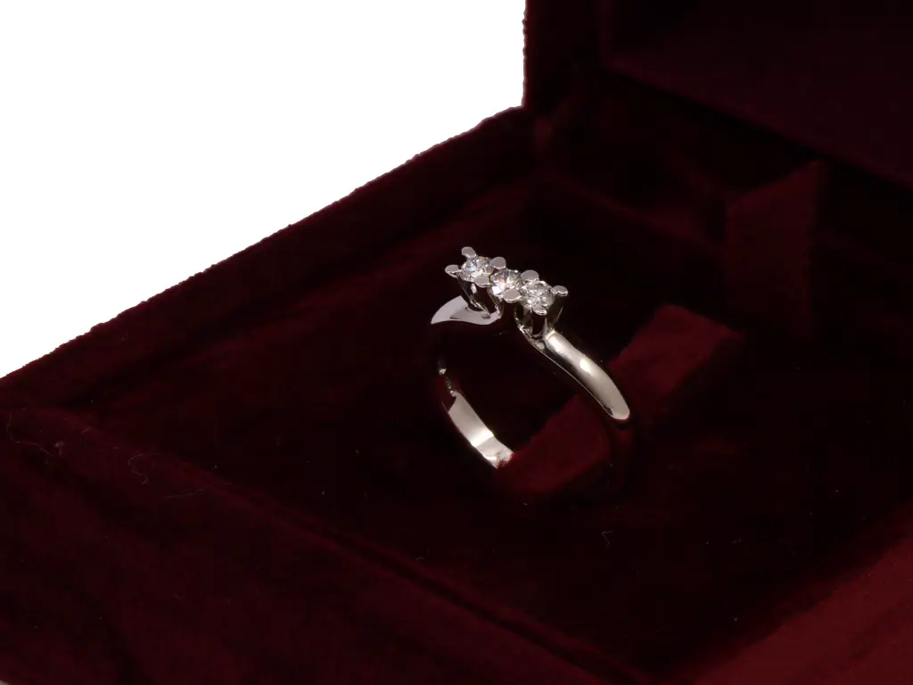 trilogy MT32621022-520.webp