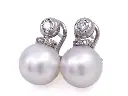 Orecch perle mt32620994-544.webp