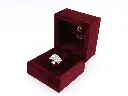 anello fascia MT32623079-643.webp