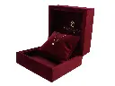 mtr20240000450-979.webp