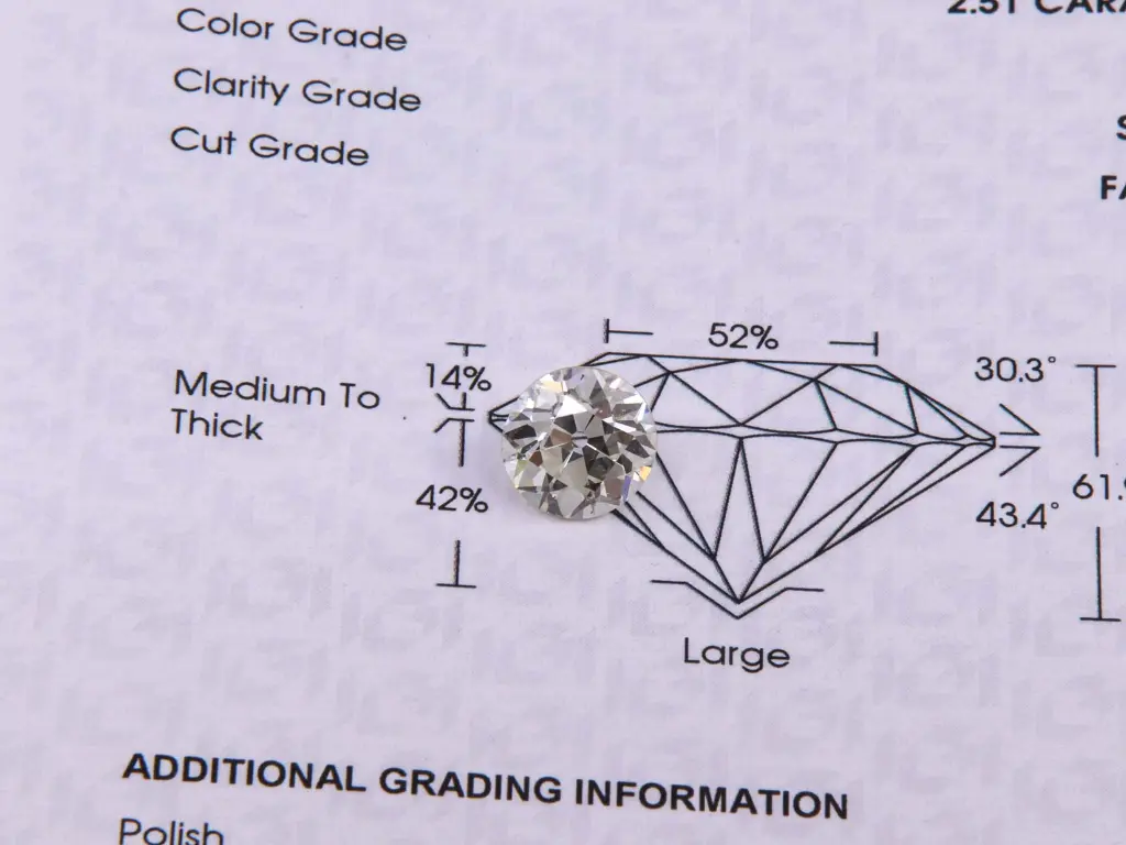 DIAMANTE MT32625579-1185.webp