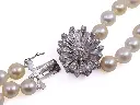 COLLANA PERLE MT32625558-1242.webp