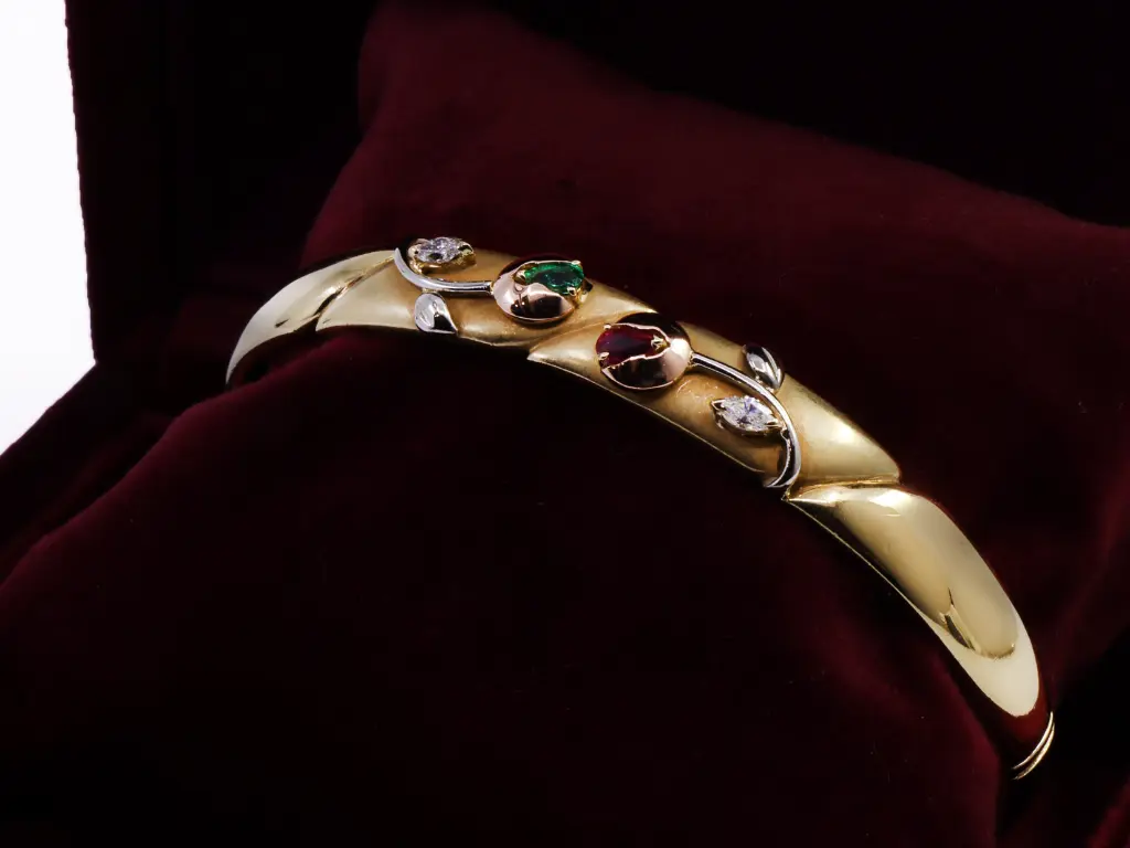 BRACC  MT32630542-1256.webp