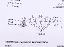 diamante MT32518296-1328.webp