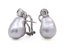 anelli MT32636093, MT32632670 e MT32631207-1509.webp