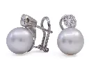 Orecch PERLE. VRILL LOB-1562.webp