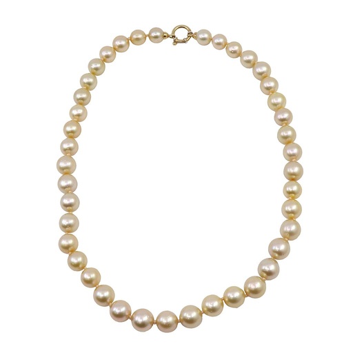 [MT32516889] Collana con perle Gold Australia : susta in oro 18kt, peso totale 69gr