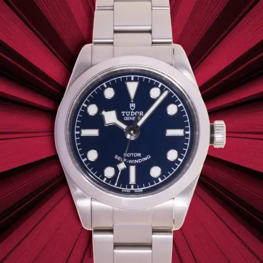 [MT32623304] Tudor Black Bay 32 ref:M79580 - Original Box and papers (9/2020)